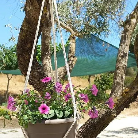 Lily Home_lefkada ~ Private Kondaraíni